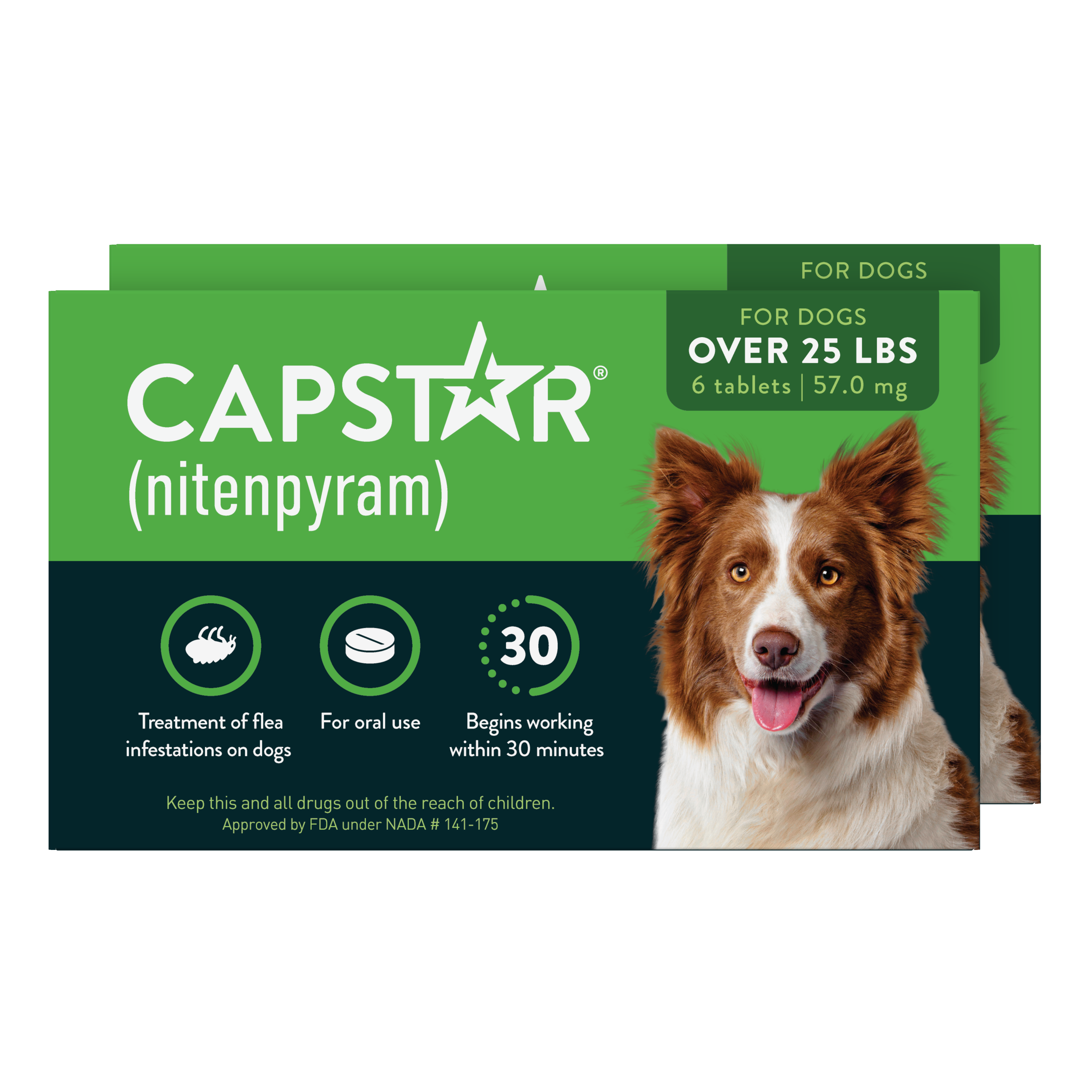 CAPSTAR® (nitenpyram) Oral Flea Treatment for Dogs