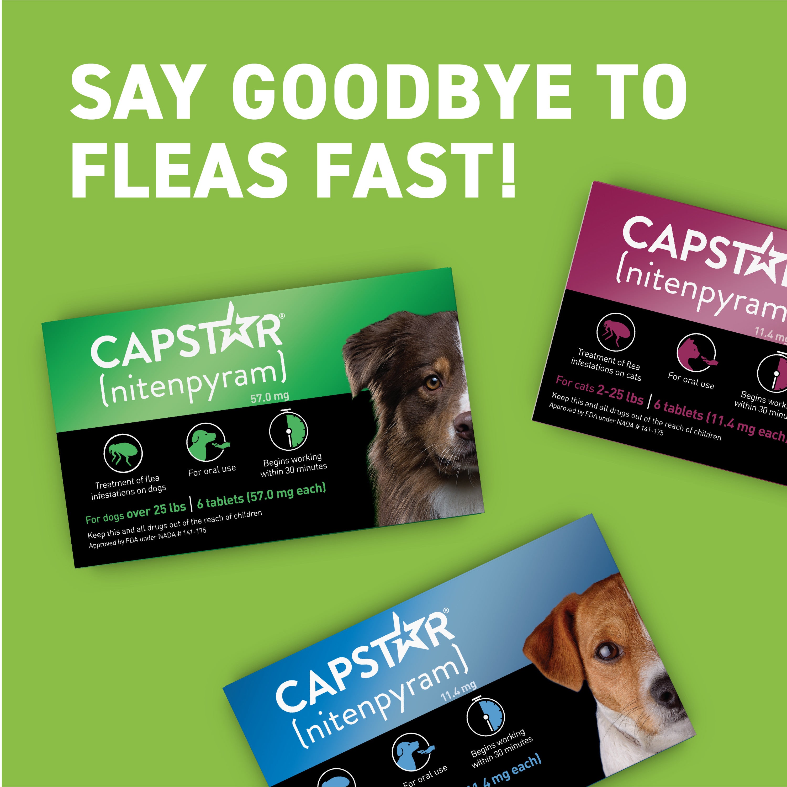 Nitenpyram Walmart Flea Medication For Dogs Capstar At Walmart