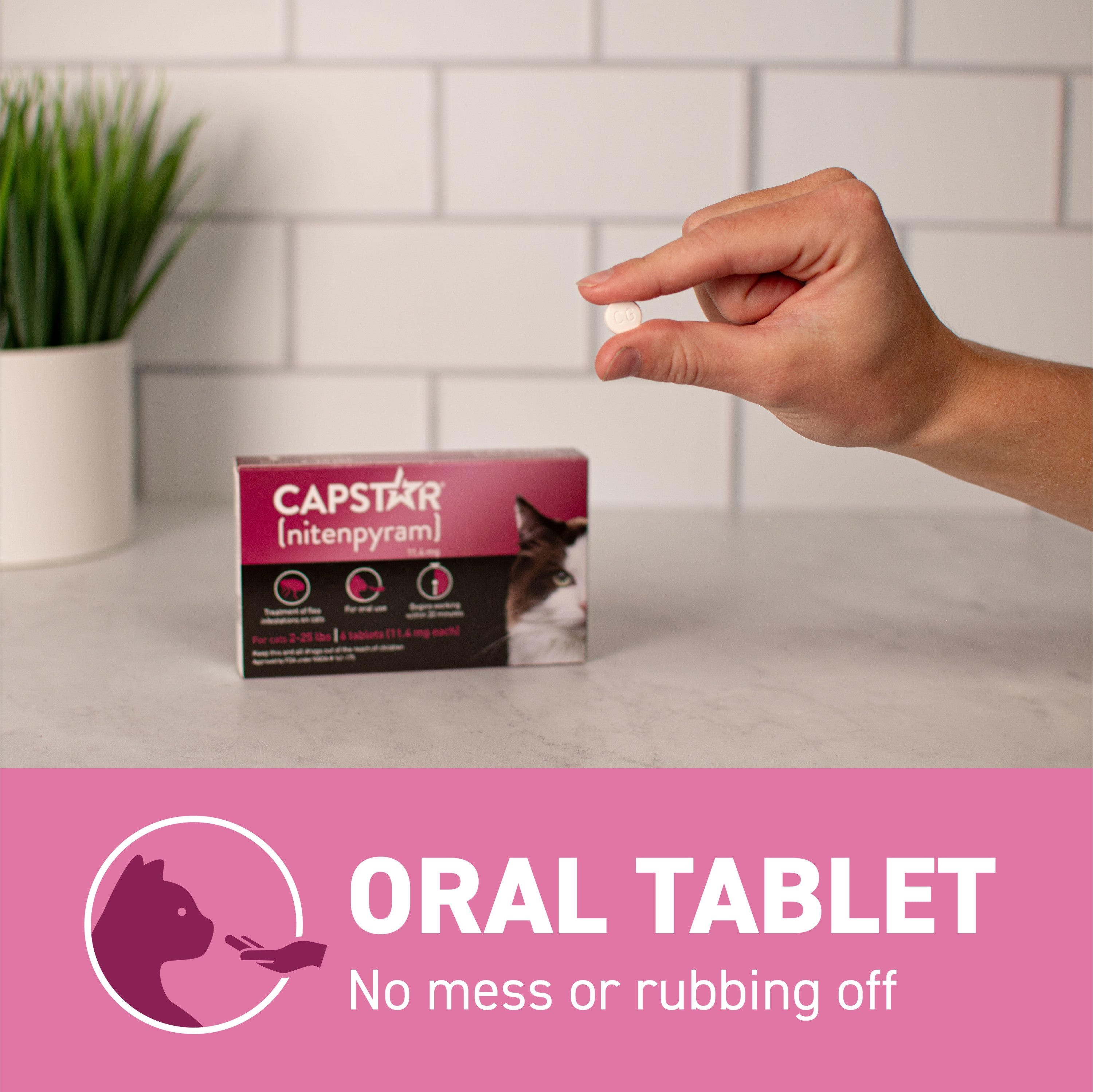 Cat Flea Tablet Treatment: Fast Relief for Itchy Pets