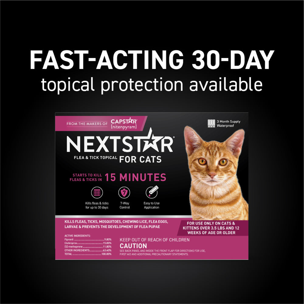 3 month flea medicine for cats hotsell