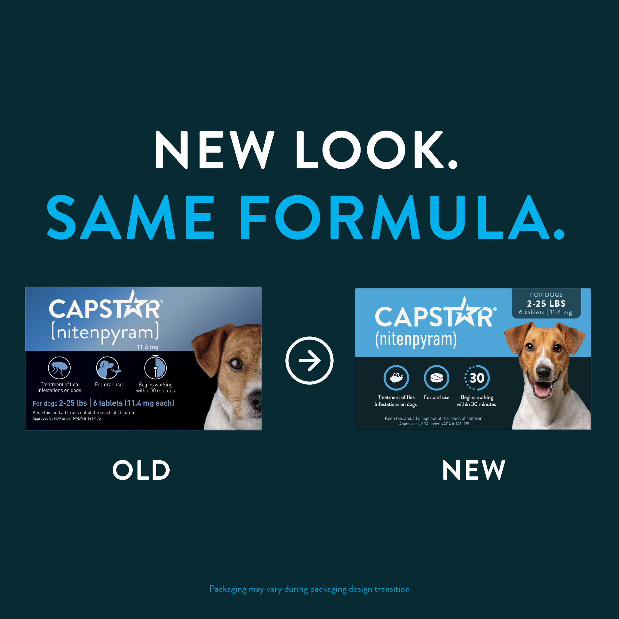 CAPSTAR® (nitenpyram) Oral Flea Treatment for Dogs – Capstar Nextstar