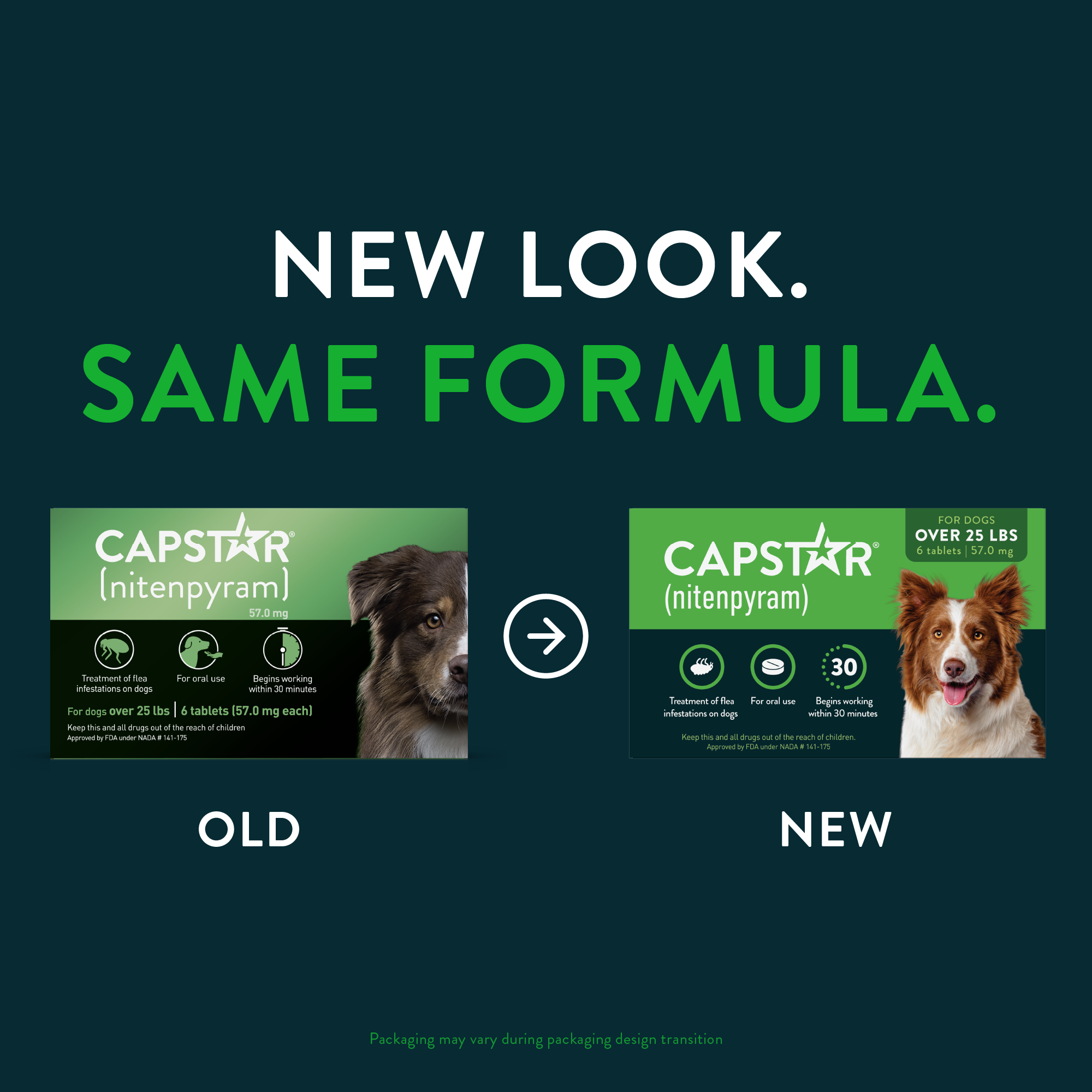 CAPSTAR® (nitenpyram) Oral Flea Treatment for Dogsmedia-1