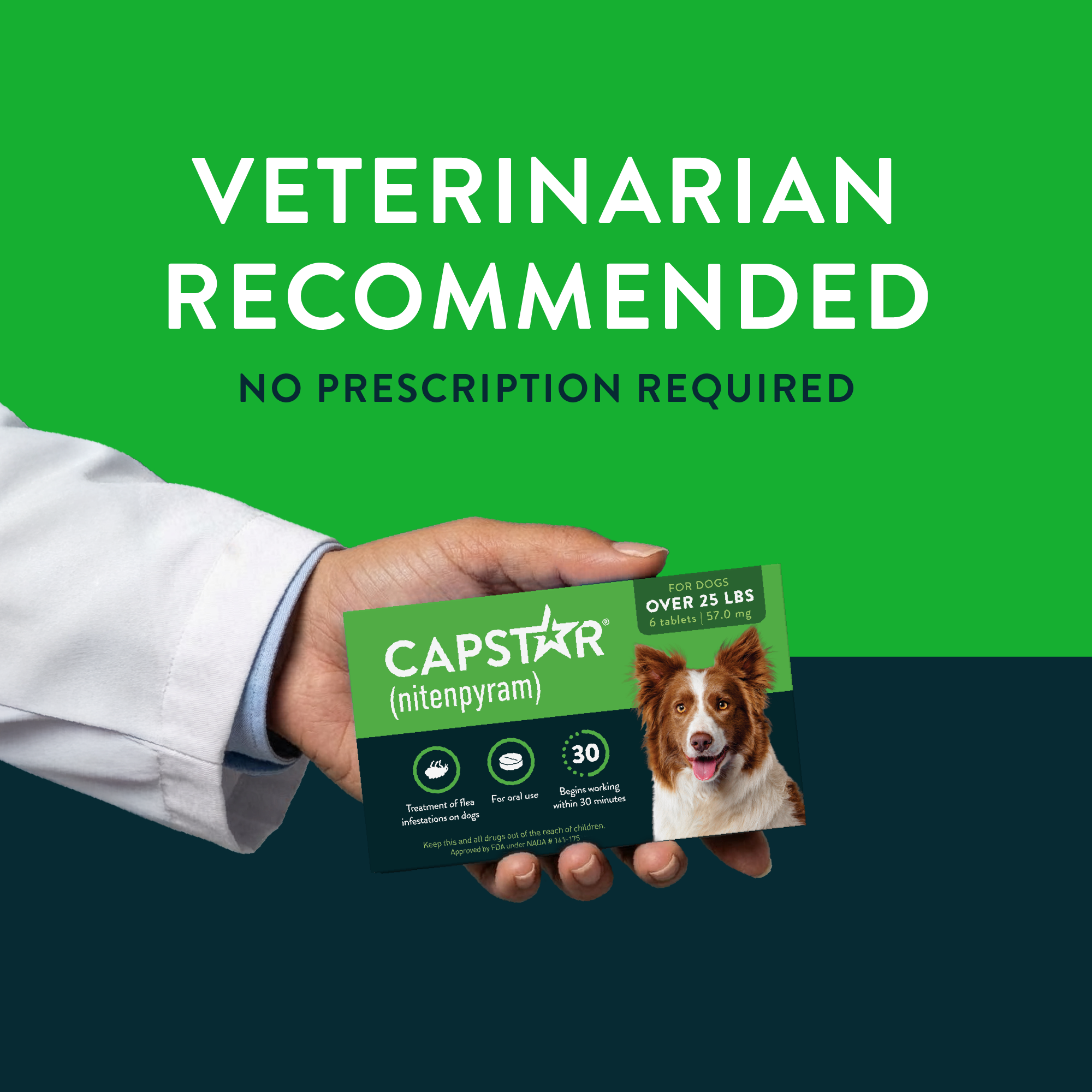CAPSTAR® (nitenpyram) Oral Flea Treatment for Dogsmedia-4