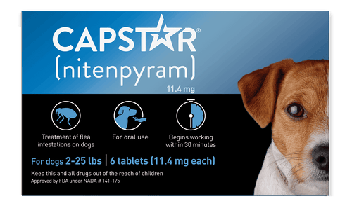 CAPSTAR® (nitenpyram) Oral Flea Treatment for Dogs – Capstar Nextstar