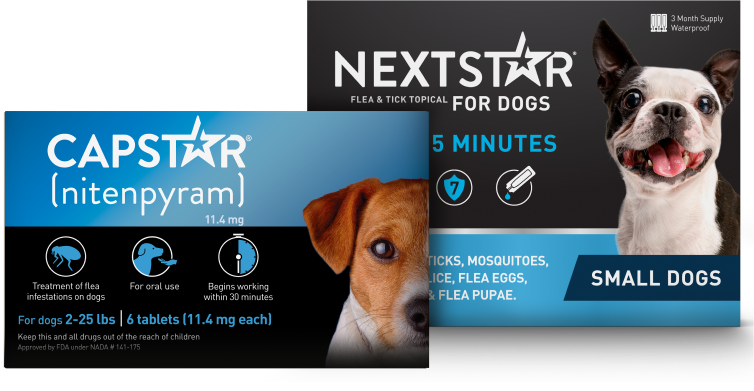 Capstar flea and deals tick