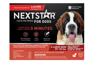 Next top flea treatment